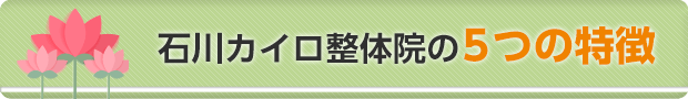 馬橋にある石川カイロ整体院の5つの特徴